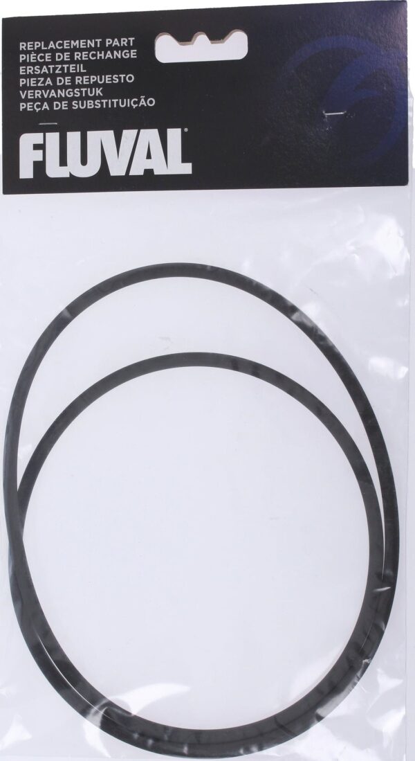 fluval-o-ring-per-coperchio-del-filtro-fx5-1-pz-203034-it
