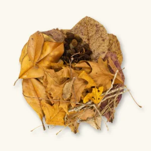 Aquili Teak Leaves 10X | Foglie Naturali di Teak per Acquario - immagine 3