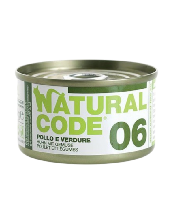 --umido-gatto-pollo-e-verdure