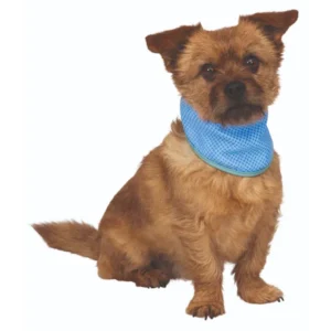 Trixie Bandana Rinfrescante per Cani Cooling Bandana – Blu - 20-30cm - immagine 4
