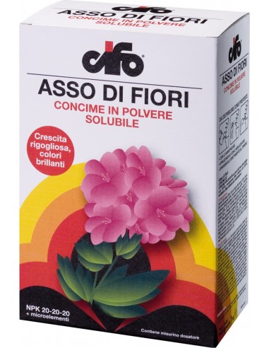 cifo-asso-di-fiori-1kg