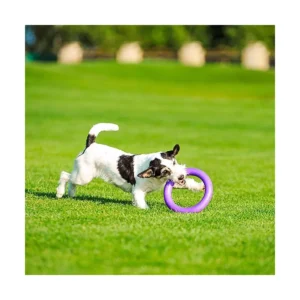 Ferplast Puller Midi – Dog Fitness Tool - immagine 3