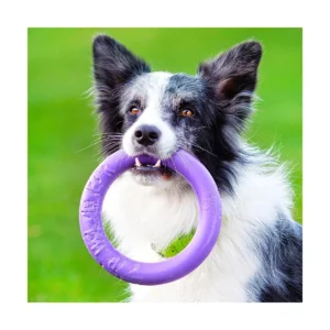Ferplast Puller Midi – Dog Fitness Tool - immagine 5
