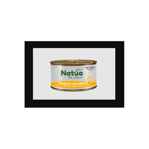 natua-cat-tonnetto-con-dentice-in-jelly-gr-85