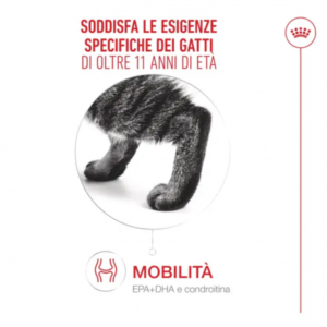 Royal Canin Ageing 11+ Gatto - immagine 3