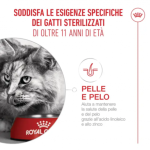 Royal Canin Cat Ageing 11+ Sterilised - immagine 4