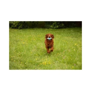 Zolux Palla Tennis “Lama” – Taglia L, Ø 7,5 cm - immagine 3