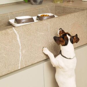 Ferplast Glam Tray Small – Doppia Ciotola per Cani e Gatti - immagine 5