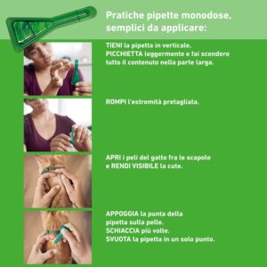 Frontline Combo – 6 Pipette Antiparassitario per Gatti, Gattini e Furetti - immagine 4