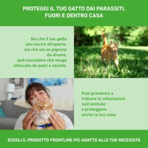 Frontline Combo – 6 Pipette Antiparassitario per Gatti, Gattini e Furetti - immagine 5