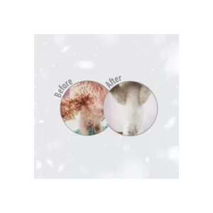 Nature’s Protection White Dog Grain-Free Adult Small Breeds al Salmone – 1,5 Kg - immagine 7